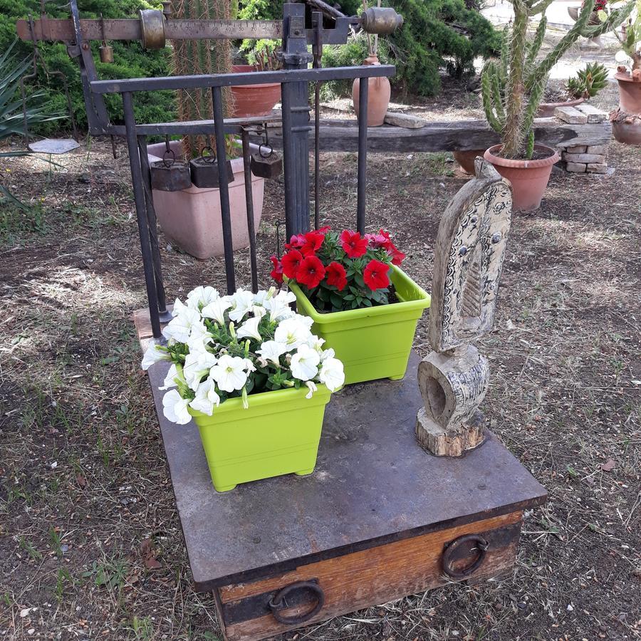 B&B Villa Garden Bisceglie Buitenkant foto